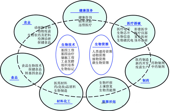 Development prospects of biomass materials